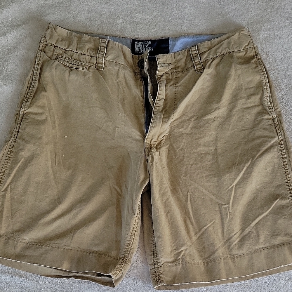 American Eagle Outfitters Tan Flat Front Shorts